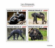 Togo 2020 Chimpanzees. (0239a) OFFICIAL ISSUE - Chimpanzees