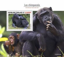 Togo 2020 Chimpanzees. (0239b) OFFICIAL ISSUE - Chimpansees