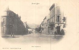 A-20-3132 : TIRAGE PRECURSEUR. SAINT-DIE. RUE GAMBETTA - Saint Die