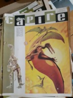 OLD ITALIAN MAGAZINE CAPIRE - 1966 COVER WITH PREHISTORIC ANIMALS DINOS SKELETON FOSSIL - Fossielen