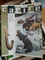 OLD ITALIAN MAGAZINE CAPIRE - 1966 COVER WITH PREHISTORIC ANIMALS ICE AGE MAMMALS AND MAMMOUTH FANG IVORY - Otros & Sin Clasificación