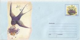 ANIMALS, BIRDS, SWALLOW, VIOLETS AND SNOWDROPS FLOWERS, COVER STATIONERY, ENTIER POSTAL, 1999, ROMANIA - Hirondelles