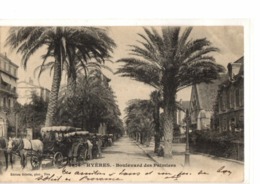 HYERES       //            BOULEVARD DES PALMERAIES - Hyeres