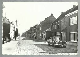 ***  4 X VELDEGEM  ***   -  Koning Albertstraat + Kasteel Hoogveld + Kerk + Gemeentehuis - Zedelgem