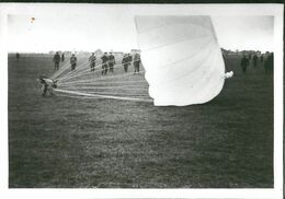 Saut D'un Chien En Parachute Parachutisme Photo Militaria - Paracadutismo