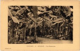CPA AK DAHOMEY - Adjarah - Une Bananeraie (86715) - Dahomey