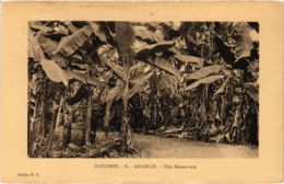 CPA AK DAHOMEY - Adjarah - Une Bananeraie (86759) - Dahomey