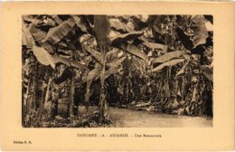 CPA AK DAHOMEY - Adjarah - Une Bananeraie (86760) - Dahomey