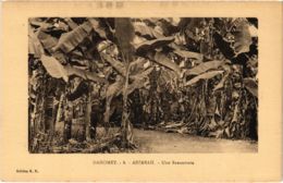 CPA AK DAHOMEY - Adjarah - Une Bananeraie (86761) - Dahomey