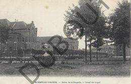 Postkaart-Carte Postale - MERKSPLAS Colonie - Drève De La Chapelle (B666) - Merksplas