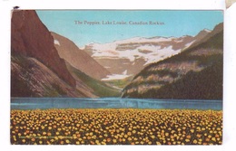 LAKE LOUISE AB Canada Canadian Rockies The Poppies - Lac Louise