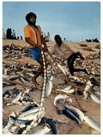 (M 18) Mauritania - Fisherman / Pêcheur - Mauritania