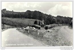 NOIREFONTAINE ..-- Route Vers DOHAN . N.D. Des Champs . - Bouillon