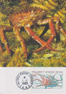 Carte  Maximum  1er  Jour    TAAF   Lithodes    1989 - Crustaceans