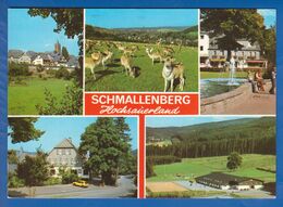 Deutschland; Schmallenberg; Multibildkarte - Schmallenberg