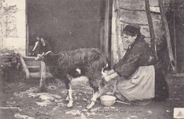 Caussetiere De Rocamadour Trayant Une Chèvre Cabecou Baudel St Céré - Saint-Céré