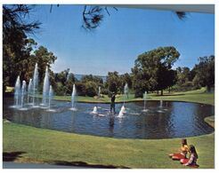 (M 21) Australia - WA - Perth King's Park (P7020-7) - Perth