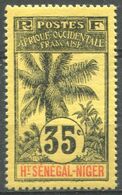 HAUT SÉNÉGAL ET NIGER - Y&T  N° 10 * - Unused Stamps