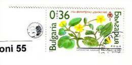 2003 National Philatelic Exhibition / Protected Plant / 1v.- Used/oblitere(O) BULGARIA / BULGARIE - Gebruikt