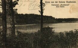 Gruss Aus Der KOLONIE MOELLENSEE  Restaurant "Moellensee" Emil Kiefer - Gruenheide