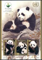 ONU 2019 - China 2019 Wuhan World Stamp Exhibition 11-17 June 2019 - Goodwill Ambassadors Panda Qiqi & Diandian ** - Blokken & Velletjes