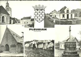 (PLEUBIAN )( 22 COTES DU NORD ) - Pleubian