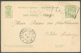 E.P. Carte 5 Centimes Obl. Griffe AMBULANT ECHTERNACH-ETTELBRUCK Du 8/07/1895 Vers Birtrange - 15988 - Enteros Postales