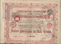 COMPAGNIE FERMIERE DES CHARBONNAGES DE PROKHOROW -ACTION DE 500 FRS -ANNEE 1911 - Miniere