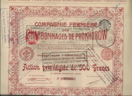 COMPAGNIE FERMIERE DES CHARBONNAGES DE PROKHOROW - LOT DE 8 ACTIONS -1905 - Miniere