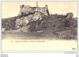 Ruines De MONTAIGLE / Onhaye - Vallée De La Meuse - Onhaye