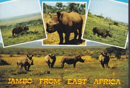 Kenya PPC Jambo From East Africa Rhinoceros Wildlife 1982 BOLLINGEN Switzerland Minerals Galona & Tourmaline Stamps - Rhinocéros