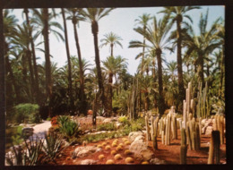 Spain, Circulated Postcard, ELCHE, 1985 - Alicante