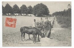 51/CPA A - Camp De Chalons - A L'abreuvoir - Camp De Châlons - Mourmelon