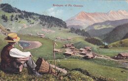 SUISSE,HELVETIA,SWISS,schweiz ,svizzera,VAUD,VILLARS SUR OLLON,BRETAYES,1910,FERMIER,BERGER,PAYSAN - Ollon