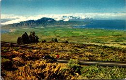 Hawaii Maui Suga Cane And Pineapple Plantations - Maui