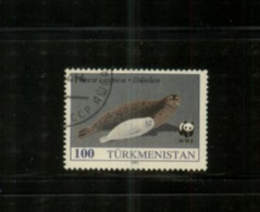 (stamp 7-9-2020) Turkmenistan - WWF - Seals (1 Stamp) - Gebruikt