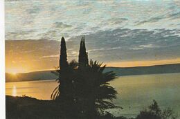 YB /  Cpsm 9x14 . ISRAEL Edit. PALPHOT N° 5260 :  Sunrise At The Lake Of GALILEE - Israel