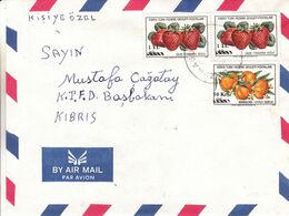 Chypre Turque - Lettre De 1980 - Oblit Gazi Magusa - Fruits - Fraises - Mandarines - Sonstige & Ohne Zuordnung