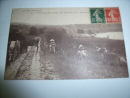 CPA 39 CLAIRVAUX DU JURA LES BORDS DU LAC VACHES SCENE ANIMEE RARE BELLE CARTE  !! - Clairvaux Les Lacs