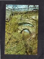 95380     Regno  Unito,  Galles,  Devil"s Bridge,  Cardiganshire,  VG  1976 - Cardiganshire