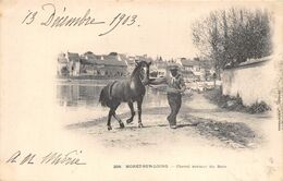 77-MORET-SUR-LIONG- CHEVAL SORTANT DU BAIN - Moret Sur Loing