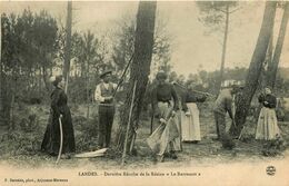 Landes * Dernière Récolte De La Résine " Le Barrascot " * Résinier Métier - Autres & Non Classés