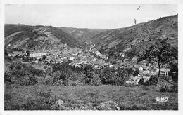 Blesle         43         Vue Panoramique     (voir Scan) - Blesle