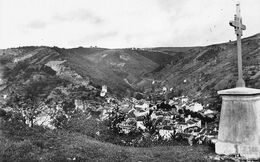 Blesle         43         Vue Panoramique Prise De La Croix Du Bûcheron     (voir Scan) - Blesle