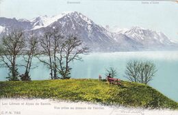 SUISSE,SWITZERLAND,SVIZZERA,SCHWEIZ,HELVETIA,SWISS ,VAUD,MONTREUX,TERRITET,1905 - Montreux