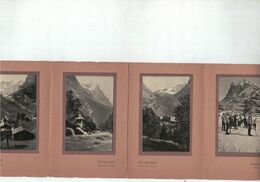 Hôtel De L'Ours Grindelwald Oberland Bernois - Photos Collées - Bern Bären - Pubblicitari