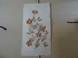Composition Fleur Sur Papier Artisanal (herbier)  39 X 20 Cm TBE - Flores & Plantas
