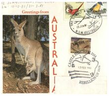 (N 12) Australia - Kangaroo - Advertising Cover With Stamp And Postmark (Mount Kosciuszko Summit) - Andere