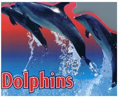 (N 13) Australia - Dolphin (shape Card) - Dauphins