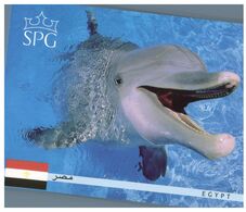 (N 13) Australia - Dolphin (SPG - Egpyt With Flag) - Dauphins